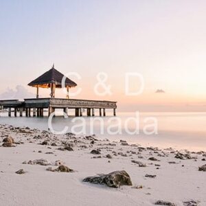 Landscape Stock Art 20