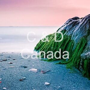 Landscape Stock Art 31