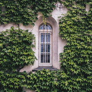 architectural stock wall art 16