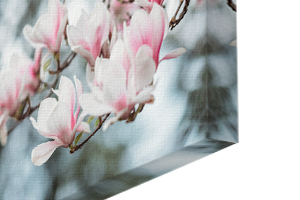 photo on canvas with mirror wrap