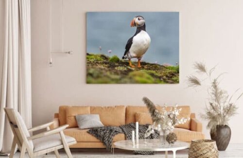 large custom canvas photo print at discount price