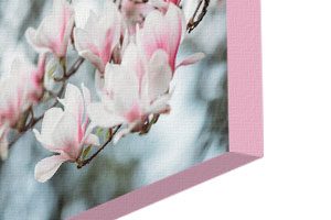 canvas print from photo with custom coloured border