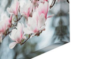 photo on canvas with mirror wrap