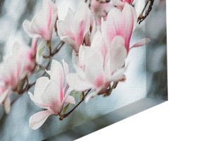 canvas print photo wrap