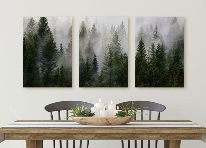 Photo of Canadian forest printed on 3-panel split canvas print